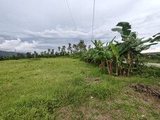 Land For Sale in Sibonga Cebu