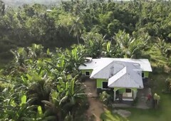 Rush Sale! Titled 1.6hectare Lot with House!