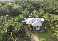 Rush Sale! Titled 1.6hectare with House!!!