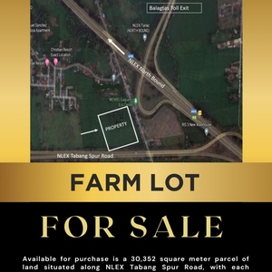 3 Hectares Lot along NLEX Tabang Spur Road For Sale in Guiguinto, Bulacan