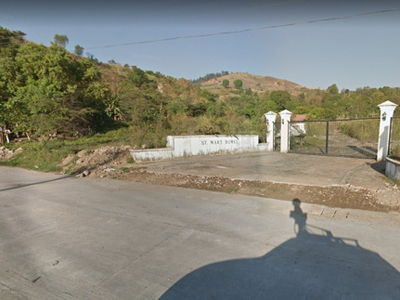 Lot For Sale In Asinan Proper, Subic
