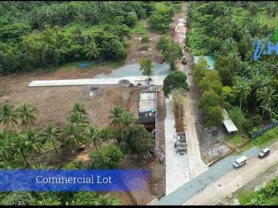 Lot For Sale In Daine I, Indang