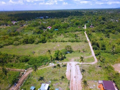 Lot For Sale In Esperanza Ibaba, Alfonso