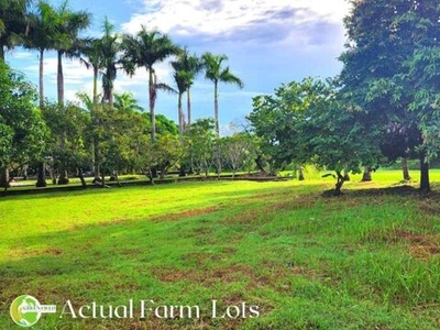 Lot For Sale In Santiago, Lubao