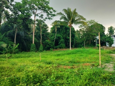 Lot For Sale In Sinaliw Malaki, Alfonso