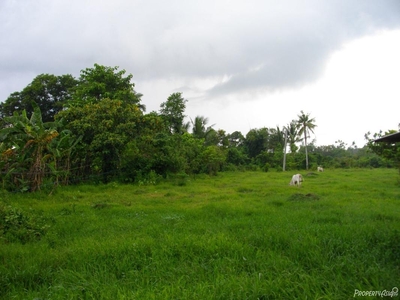 122 Sqm Residential Land/lot Sale In Candelaria