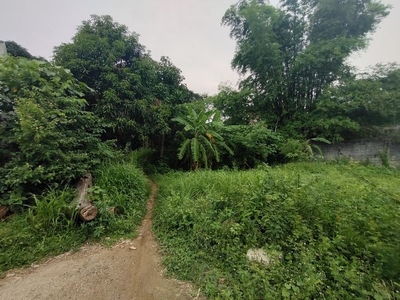 3,000 sqm Beach Lot Property For Sale in The Strand Morong, Bataan
