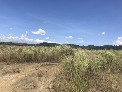 20,875 sqm Commercial Lot for Sale in Pawing, Palo, Leyte