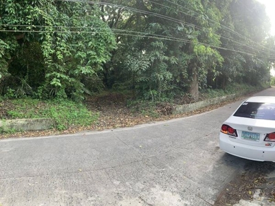 For Sale 3,450 sqm lot hilly village near with sea harbor mountain views, Bauan