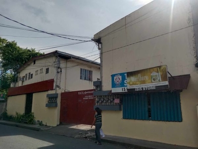 For Sale Commercial and Apartment Building in San Dionisio, Parañaque City
