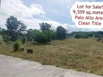 9,559 sq. meters Agricultural Lot for Sale at Palo-Alto, Calamba, Laguna