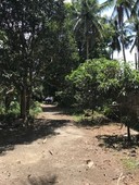 For sale Property Land/Agricultural in Cuenca, Batangas