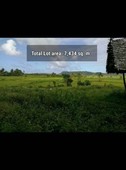riceland farmland for sale in northern part of siargao island ,near pacifico surfing beach area 10 to 15 minutes motor