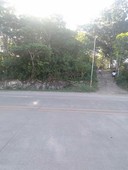 Panglao Island lot for sale with national road frontage and amazing view
