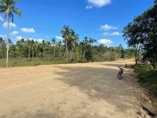 Farm Lot with Commercial lot in Bailen Cavite along eastweast Road