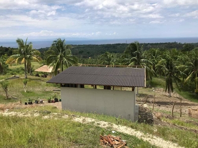 FOR SALE: Fenced and Gated Farm Lot with Villa in Argao Cebu