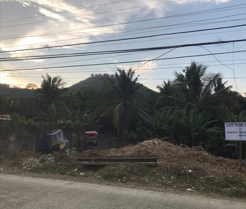 Lot for Sale in Tacloban City