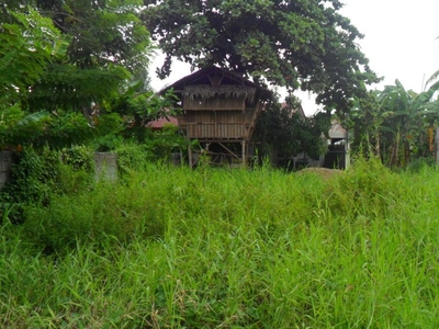 236 Sqm Residential Land/lot For Sale