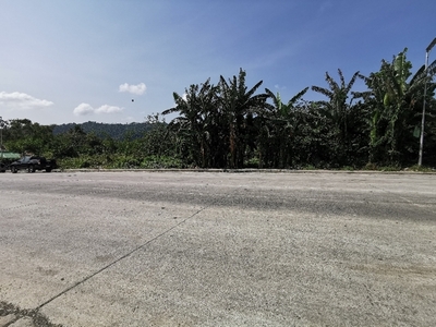 Lot For Sale In Barangay Iii, Alaminos