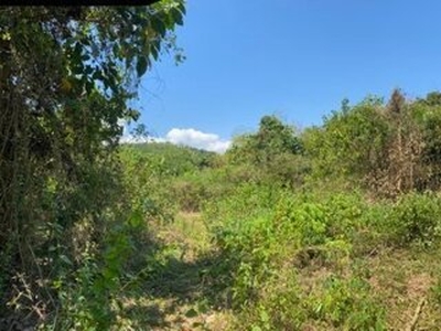 Lot For Sale In Macaycayawan, Sual