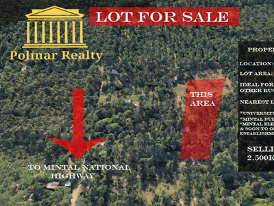 Lot For Sale In Mintal, Davao