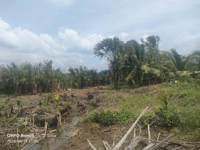 Lot For Sale In Pitogo, Quezon