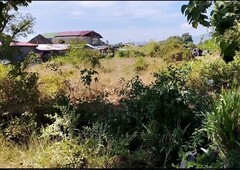 1.6 hectares of land in Batangas corner lot