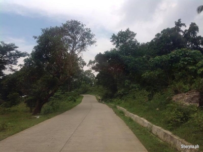 12. 8 Hectares Farm Lot for Sale in Busay Clean Title