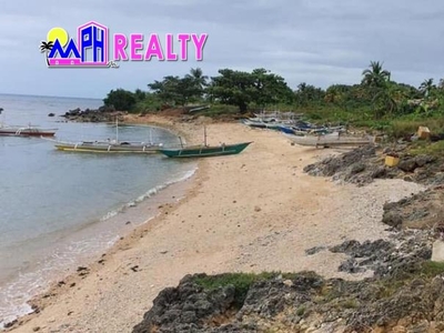 FOR SALE BEACH LOT IDEAL FOR RESORT IN SAN REMIGIO, CEBU