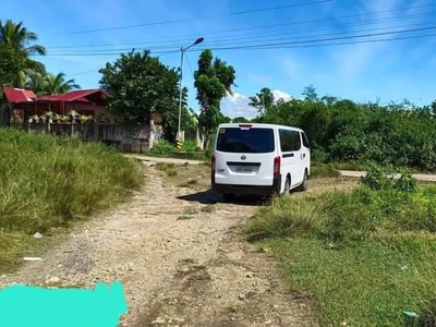 FOR SALE SUBDIVISION LOT WALKING DISTANCE TO MITSUMI IN DANAO