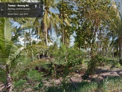 Vacant Lot for Sale in Lutao Bacong Near Dumaguete City