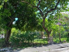 Residential Corner Lot for Sale in Cainta Rizal Cash buyers only!