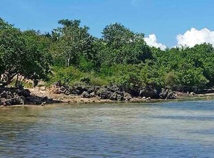 Lot For Sale In Caticugan, Siquijor