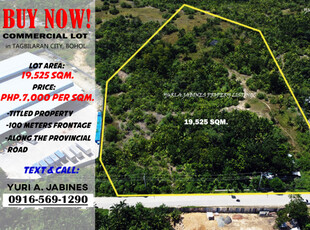 Lot For Sale In Dampas, Tagbilaran