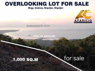 Lot For Sale In Ibabao, Siquijor