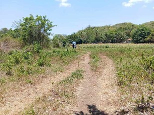 Lot For Sale In Sab-a, San Remigio