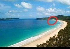 Nacpan Beach for sale in El Nido Palawan with an area of 18,000 sqm. Price : 12,000/ per sqm