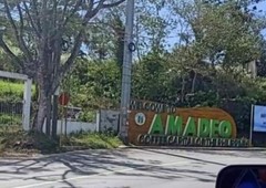 AMADEO FARM / Amadeo Cavite (along the road)