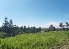 Residential Lot For Sale (The Heart Of Tagaytay City)