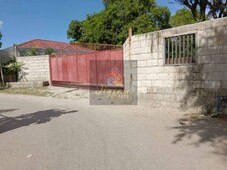 Rush Lot for Sale in Castillejos ( Gated with Perimeter fenced)