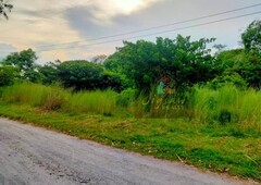 Rush Lot for Sale in Castillejos, Zambales