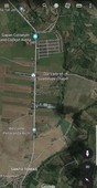 LAND WITH COMMERCIAL PIGERRY FARM FOR SALE