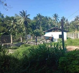 House For Sale In San Miguel, Bacong