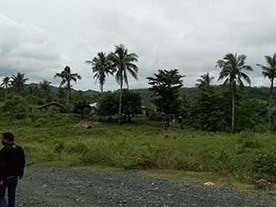 Lot For Sale In Poblacion, San Andres