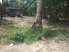 SIARGAO ISLAND PROPERTY FOR SALE