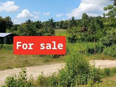2,417 sqm Commercial Lot for Sale in Malanang, Opol, Misamis Oriental