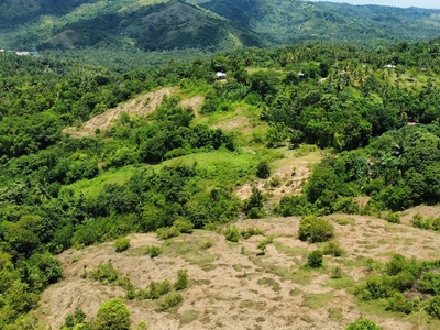 2.9 Hectares Overlooking Farm Lot For Sale in Initao Misamis Oriental