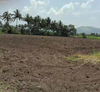 Bagong Arado Farm Land