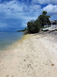 Beach Lot for sale in Panglao Bohol