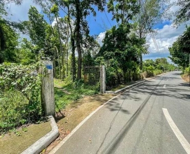 Farm Lot for Sale in Lipa, Batangas Good Property Investment
